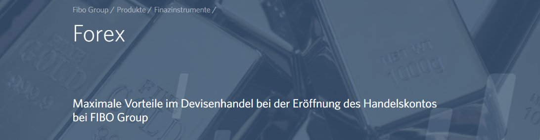 FIBO Group Erfahrungen: maximale Vorteile im Devisenhandel